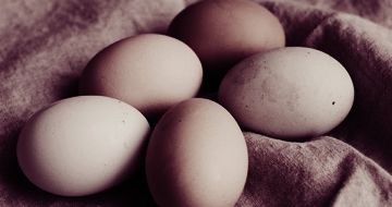 ブランドサイト制作